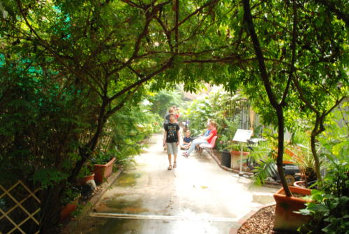 DSC 0556