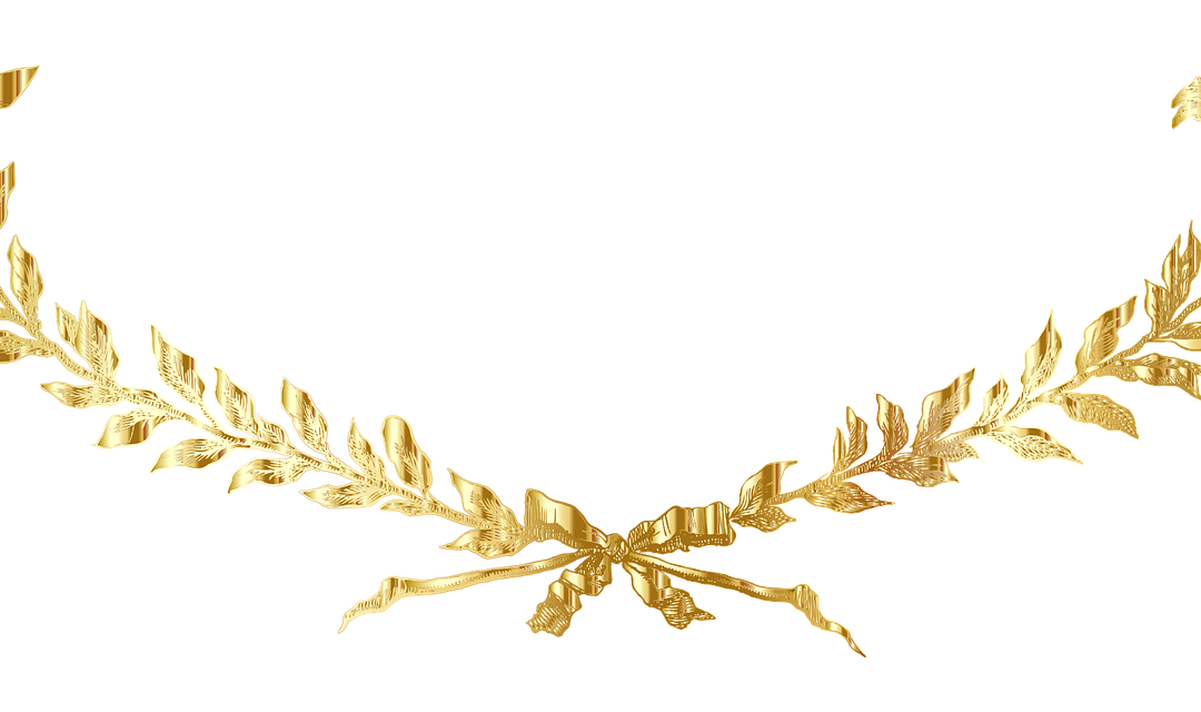 Nasze sukcesy w OLIMPUSIE